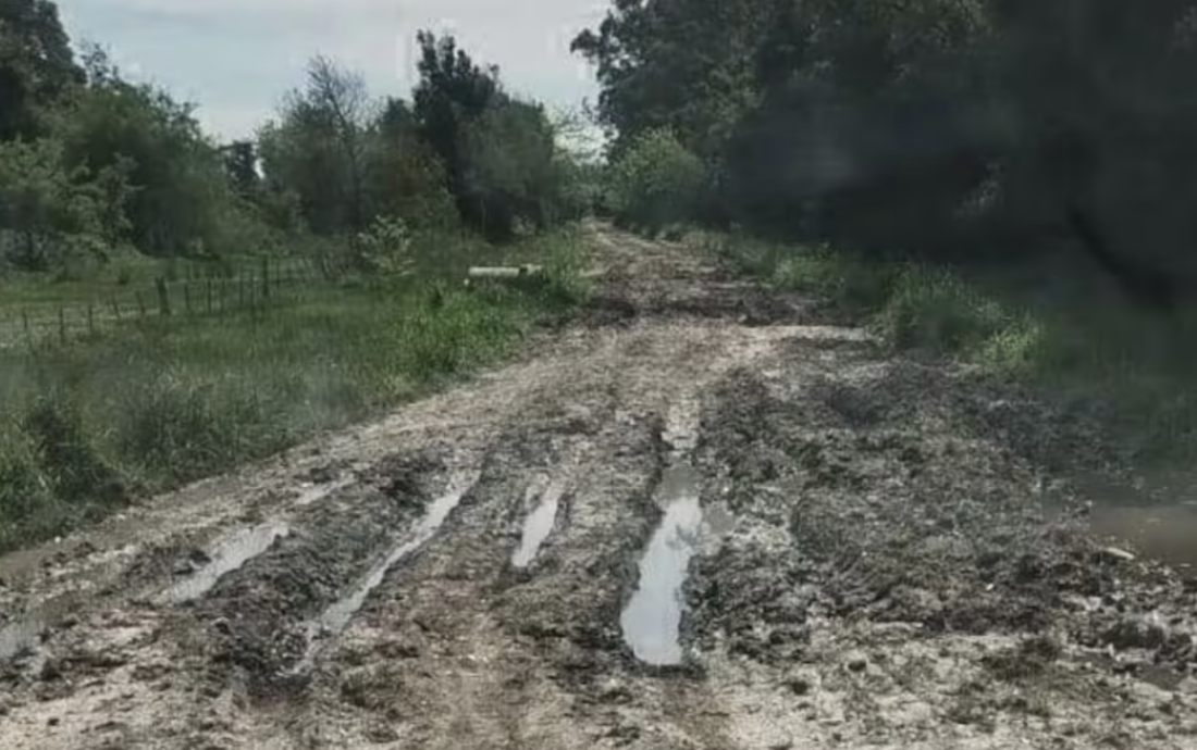 Protesta y reclamos en 9 de Julio: productores denuncian la falta de asistencia de la Nación tras las inundaciones